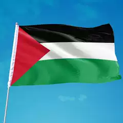 F909 in stock Wholesale 90 * 150cm 3 * 5ft Palestine Flag Palestine FLAG