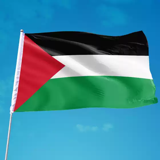 F909 in stock Wholesale 90 * 150cm 3 * 5ft Palestine Flag Palestine FLAG