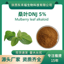 桑叶DNJ5%桑叶提取物桑叶生物碱1-脱氧野尻霉素5%500克每袋