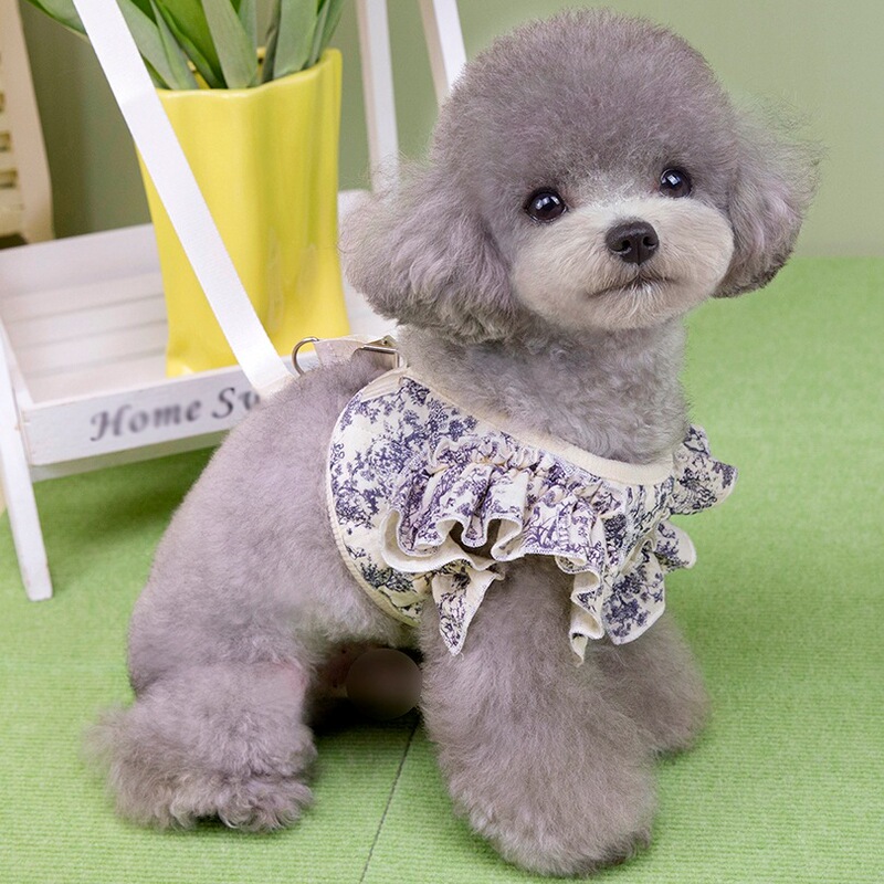宠物服装小型犬狗衣服猫咪秋冬保暖舒适新款加厚棉纱胸背牵引套装|undefined