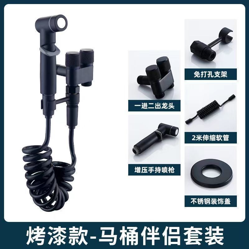 리치 올 구리 이중 제어 앵글 밸브(ABS 스프레이 건 세트)_ (우아한 블랙) 1인 및 2아웃 앵글 밸브