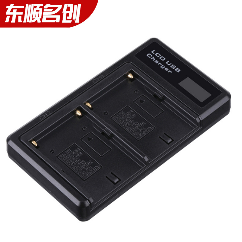 FW50 FZ100 F970 BG1 BN1 BX1 BD1 FH FV 充電器 LCD ディスプレイ USB デュアル充電