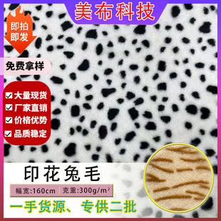 10ë����ëӡ����ë�q�� ��ż���b����؈�y���yӡ������С��ë