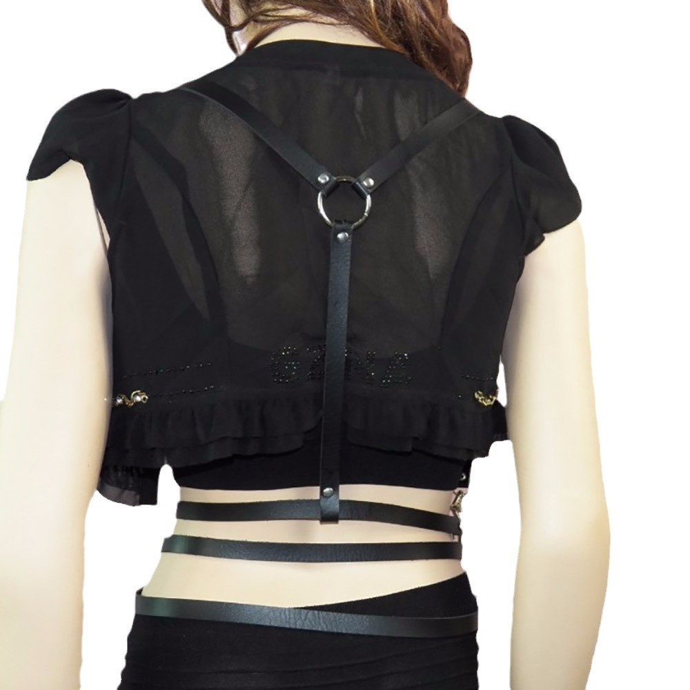 Belt, harness, accessory, straps, universal brace, accessories