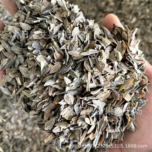 ղݻܷNͥԺ̨ղݷNҰMļ׻