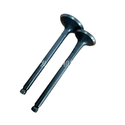 In stock: 6BG1, Valves and components