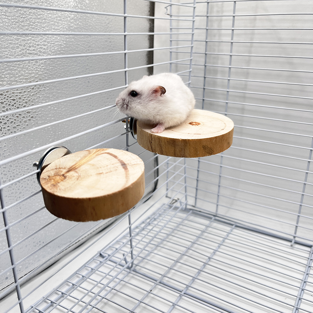 Juguete de hámster, marco de estación de pájaro loro, madera de pino, plataforma redonda pelada, accesorios para jaulas de pájaros, juguetes de madera para mascotas pequeñas image 3