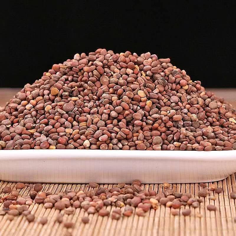Lai Fu Zi (Raphanus sativus Seed) — Dried Radish Seed for Tea & Decoction key features