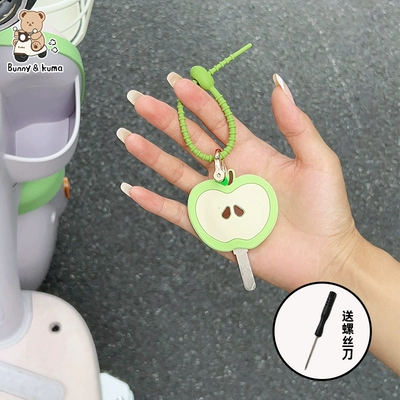 Suitable for Electric Vehicle Key Cover, Electric vehicle key cover shell - green-apple-key-cover-screwdriver-included