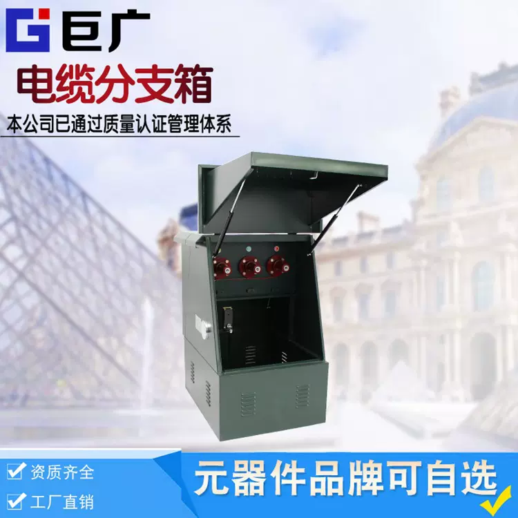 DFW10-3一进三出12KV户外欧式高压电缆分支箱不锈钢304对接箱630A