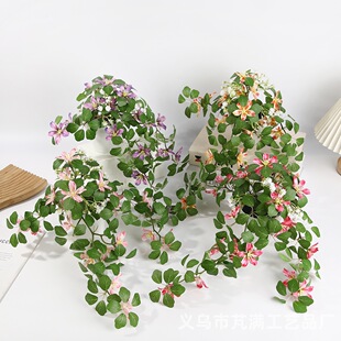 �羳����黨�������Ի�c�zӰ���߼ٻ��辰�҃ȼҾ��쾰���컨��