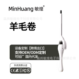 卷发/直发器;电动刮痧仪;冲牙器