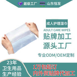 成人护理湿巾加大加厚带盖通用清洁男女卧床家用湿巾OEM代工保湿