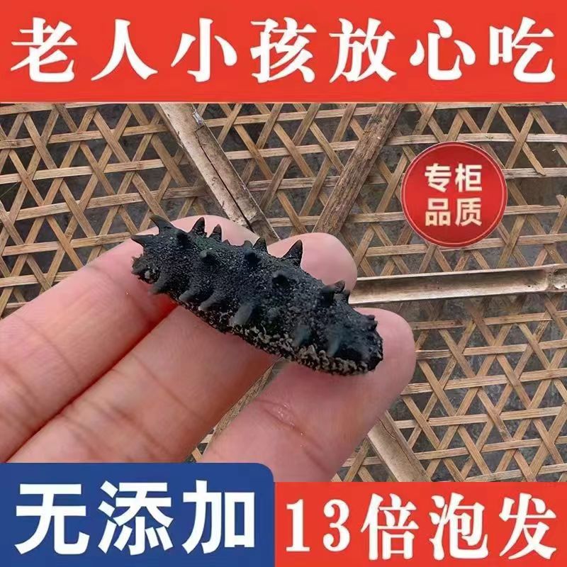 大连野生辽参刺参海产品淡干海参干货小海参孕妇老人小孩速发