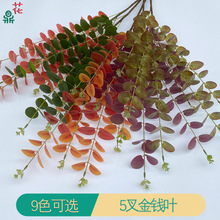 33Dӡȼ X~ sҾꐽ czӰ߼ٻ