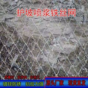 ��������ֲ���F�z�W�����W�G���F�z�W���{��W��\�����W���^