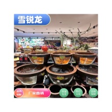 土菜馆明档鱼缸土陶缸圆缸造景超白玻璃可透视饭店观赏鱼池展示柜