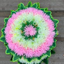 ����С��Ȧ 50������횾ջ��P �������h �ջ���Ȧ  ������Ʒ���l