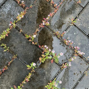 022801 ��Ů�ճ��ٴ�ƴɫ������ĥ�������e����ϵ����ɽ���eЬ