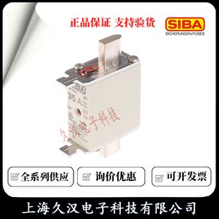 2000013 Siba SIBA Fuse NH000-32/35/40/50/63/80/100A Fuse