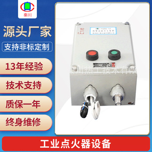 Liquefied Gas Igniter Boiler Ignition System for Coke Plant Cement Plant Customized Industrial Igniter Equipment
