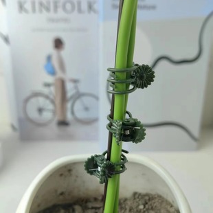 �����m����֧�ܻ��̶ܹ����A���m���F�z֧�ΗU�F������ֲ��̶��A