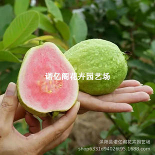 ̨�������ļ���ʯ����Ř���t�ķ�ʯ����t��ʯ��ʯ���箔��Y��