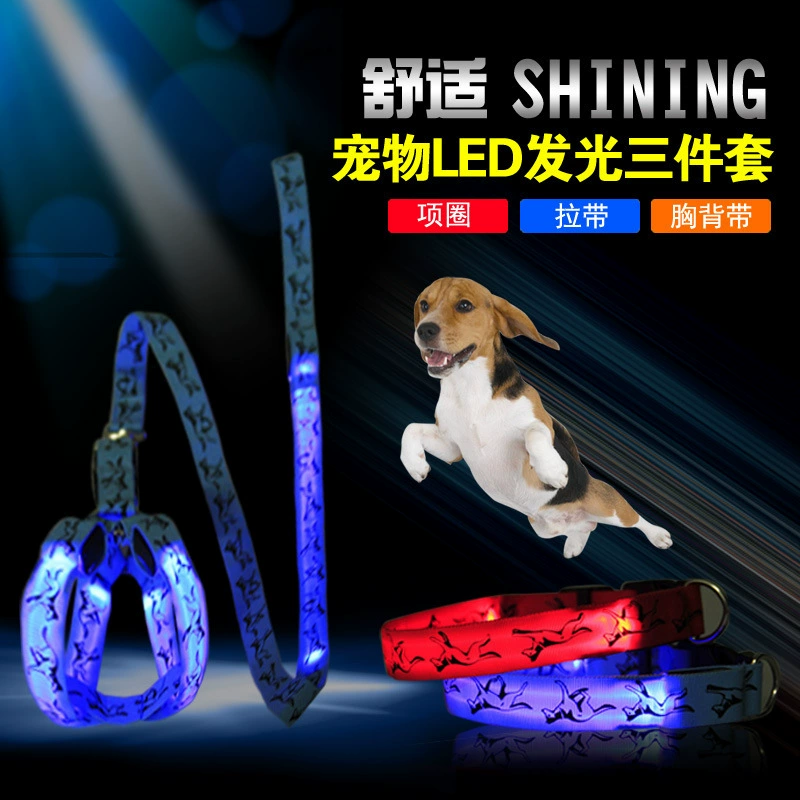 USB перезаряжаемый светодиодный светящийся нагрудный ремень для собак поводок для собак цепочка для собак Тедди Чихуахуа светящийся поводок на шнурке