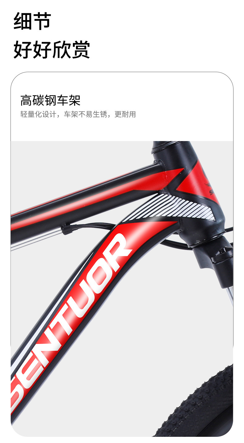 2d58ec07-b396-4566-9aa4-703127e4ac8b.jpe