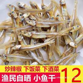 公干鱼500g小鱼干新鲜海燕银鱼干海鲜干货自晒风干鱼丁香鱼白帆鱼
