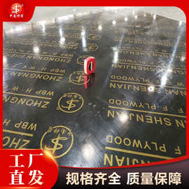 清水覆膜板黑色采用酚醛胶 用于桥梁房建 可签约质保 选中南神箭