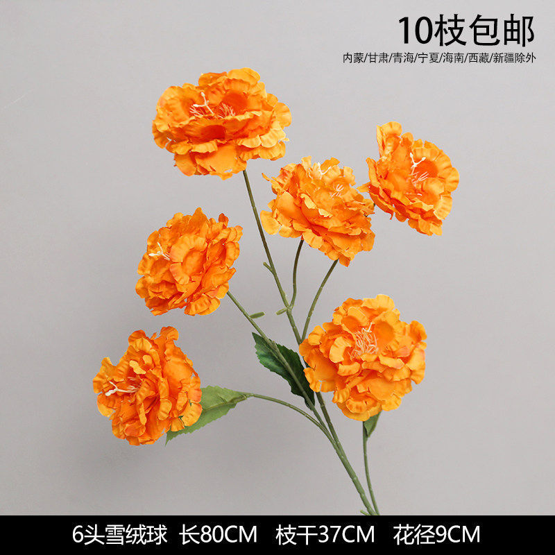 6头雪绒球