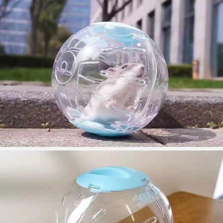 Hamster Golden Bear Sports Ball Running Ball Run