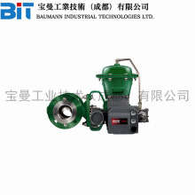 ��Ĭ��Fisher�Mϣ��Vee-BallV150���m�����y���m�y�w���y�ܷ��ԏ�