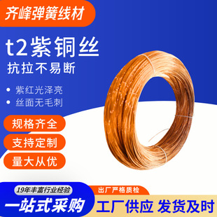 �R�� t2���~�z ���˸߼����~�� �����������~�A�z���и����~�zt2