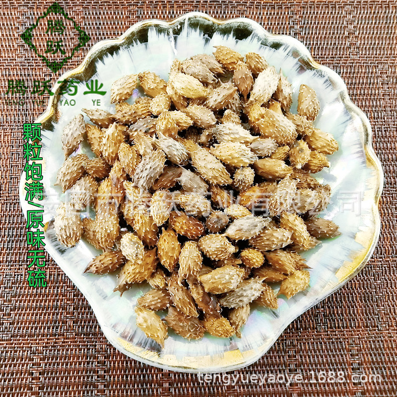 Cang Er Zi Dried Xanthium Fruit Whole Form Traditional Chinese Herb 500g Bag overview