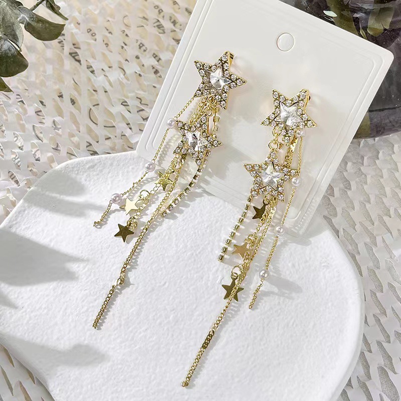 Korean elegant fashionable earrings with tassels