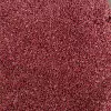 FD Raspberry Crushed 2-6mm 20g/pack
