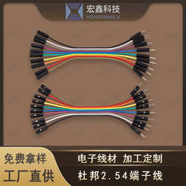 加工定制10P杜邦线 双头杜邦1P端子线 公母对接测试线 面包连接线