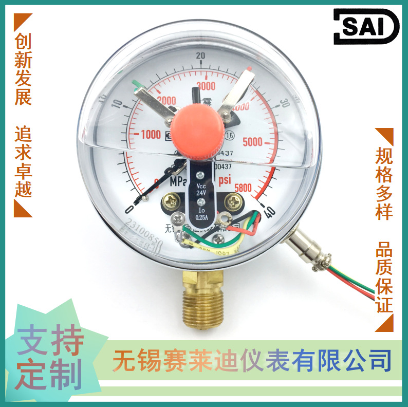 无锡赛莱迪径向磁24V耐震电接点压力表YNXC-100/M