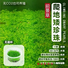 �o����ˮ��-ſ�ذ�����-ǰ��ˮ��30��40��50��60���~���쾰