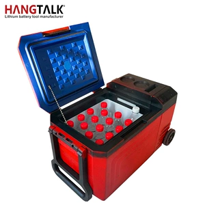25L avtomobil soyuducusu, portativ litium batareyalı, ev və avtomobil üçün