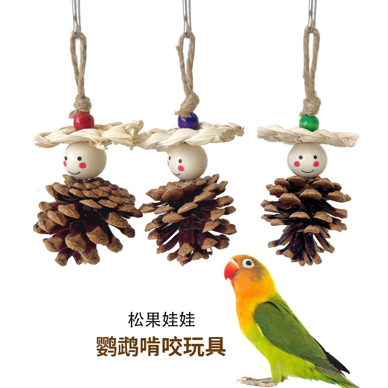 Попугай кусает сосновые шишки игрушки, чтобы размолоть рот