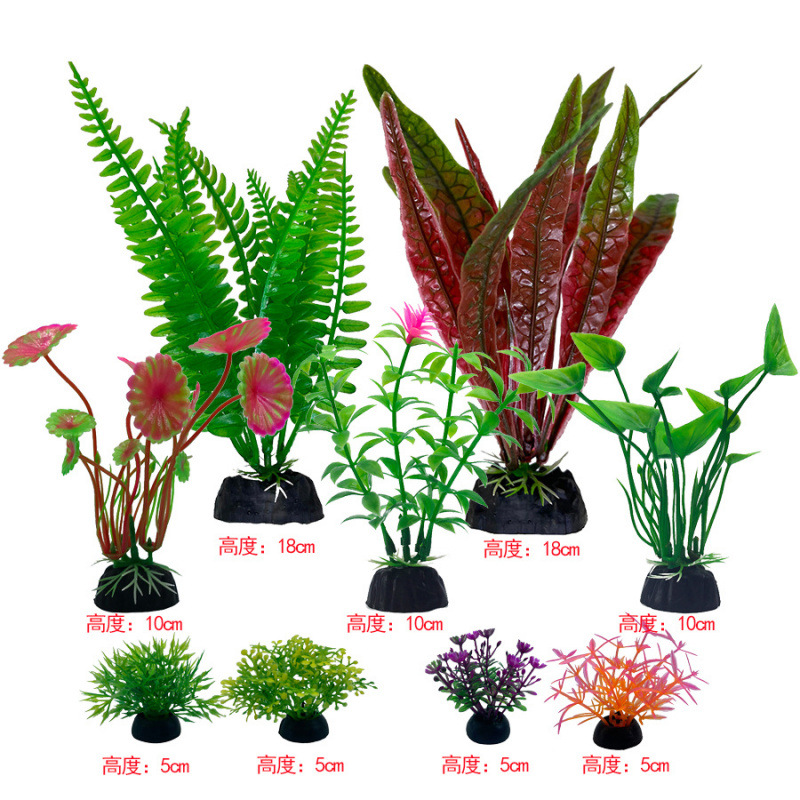 반은 녹색, 반은 컬러 패키지