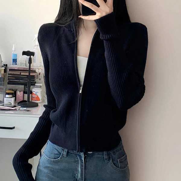 Korean Style Soft and Waxy Zipper Knitwear for Women, New Autumn and Winter Inner Wear, Casual Preppy Style Knitwear Jacket, Sweatshirt Top