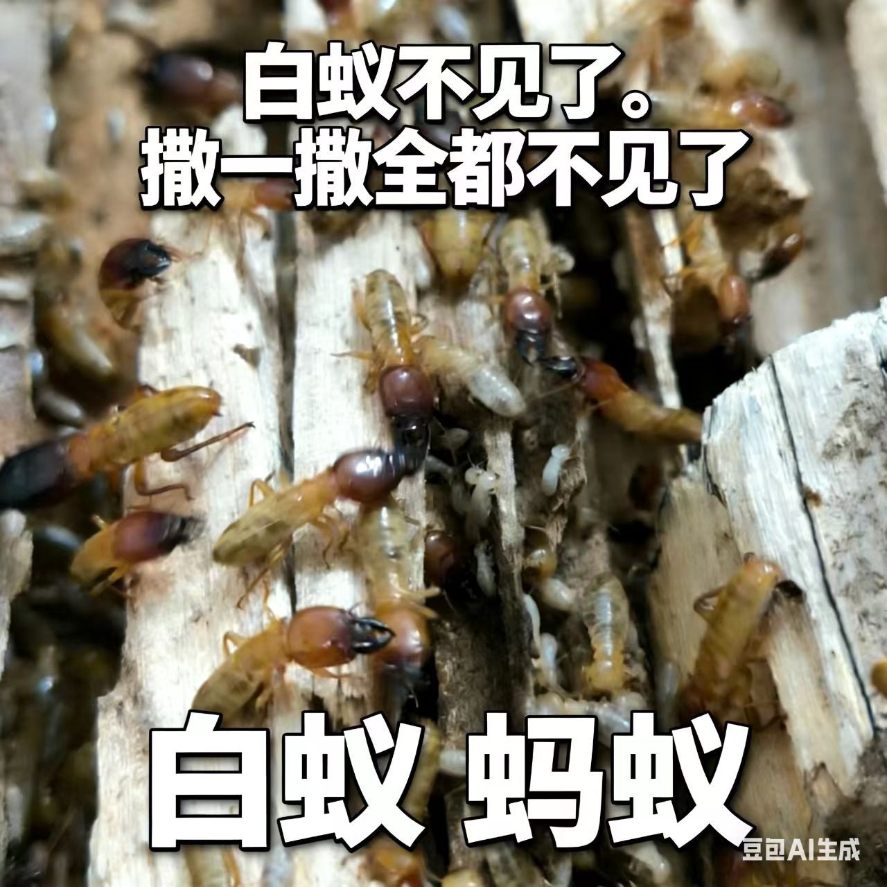 微信图片_20260126205924