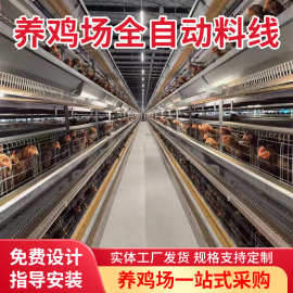 厂家生产养鸡设备 养鸡料线层叠笼 自动喂料线 全自动上料设备