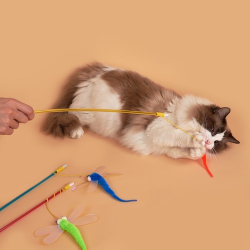 Holographic Cat Wands with Sparkling Big Eyes Dragonfly Cat Toys for Interaction and Self-Entertainment, Amazon New Product