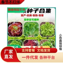 �߲˷N���ļ����N�}������ѷN�����[��������ײ˷N�Ӳ��ѷN��ȫ