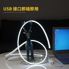 LED strip 5V low-voltage ultra-bright battery-operated model, plugless USB flexible neon silicone ambiance soft light bar